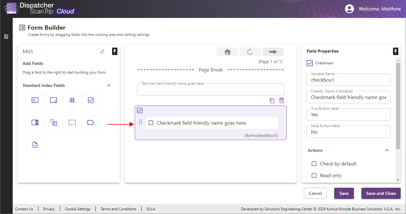 Standard form field options